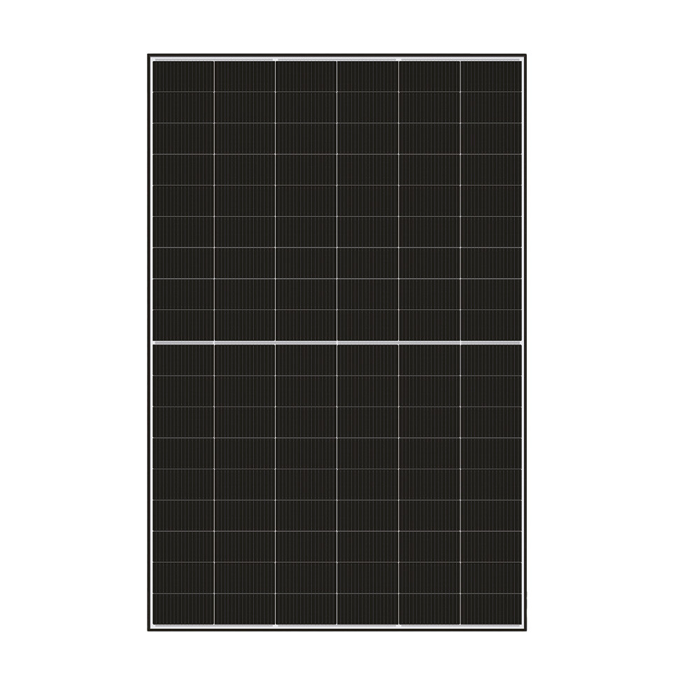 10117